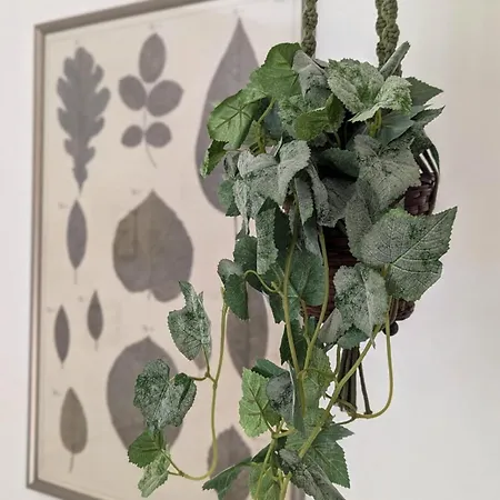 Sambucisco Airport Apartament San Giovanni Teatino