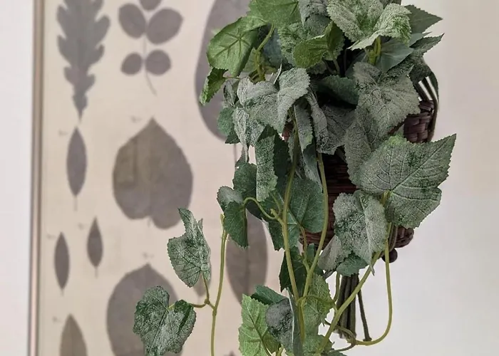 Sambucisco Airport Apartment San Giovanni Teatino